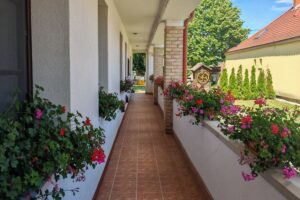 Héregi Harangszó Vendégházak, szállás, apartman, természetközeli, erdő, dézsafürdő,